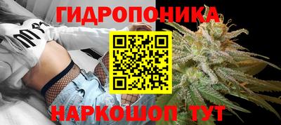 гидра Малгобек