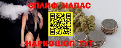 гидра Малгобек