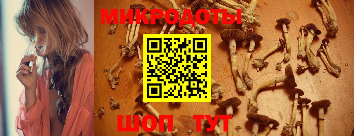 Псилоцибиновые грибы Magic Shrooms  Вход с VPN  купить наркоту  Черногорск 