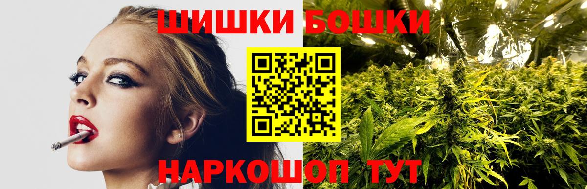 Каннабис сатива Черногорск
